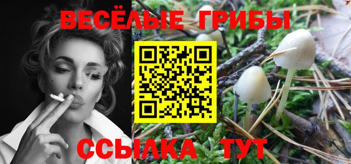 Псилоцибиновые грибы мицелий  Вход с VPN  Выкса  Псилоцибиновые грибы Psilocybe 